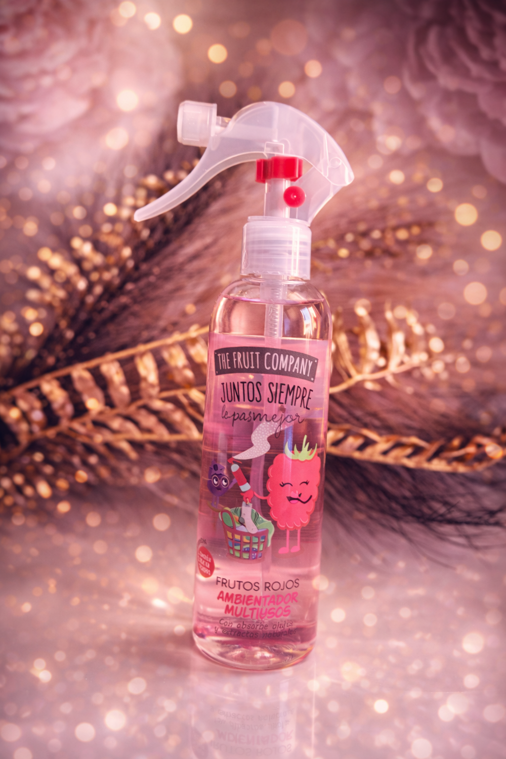 Spray maison