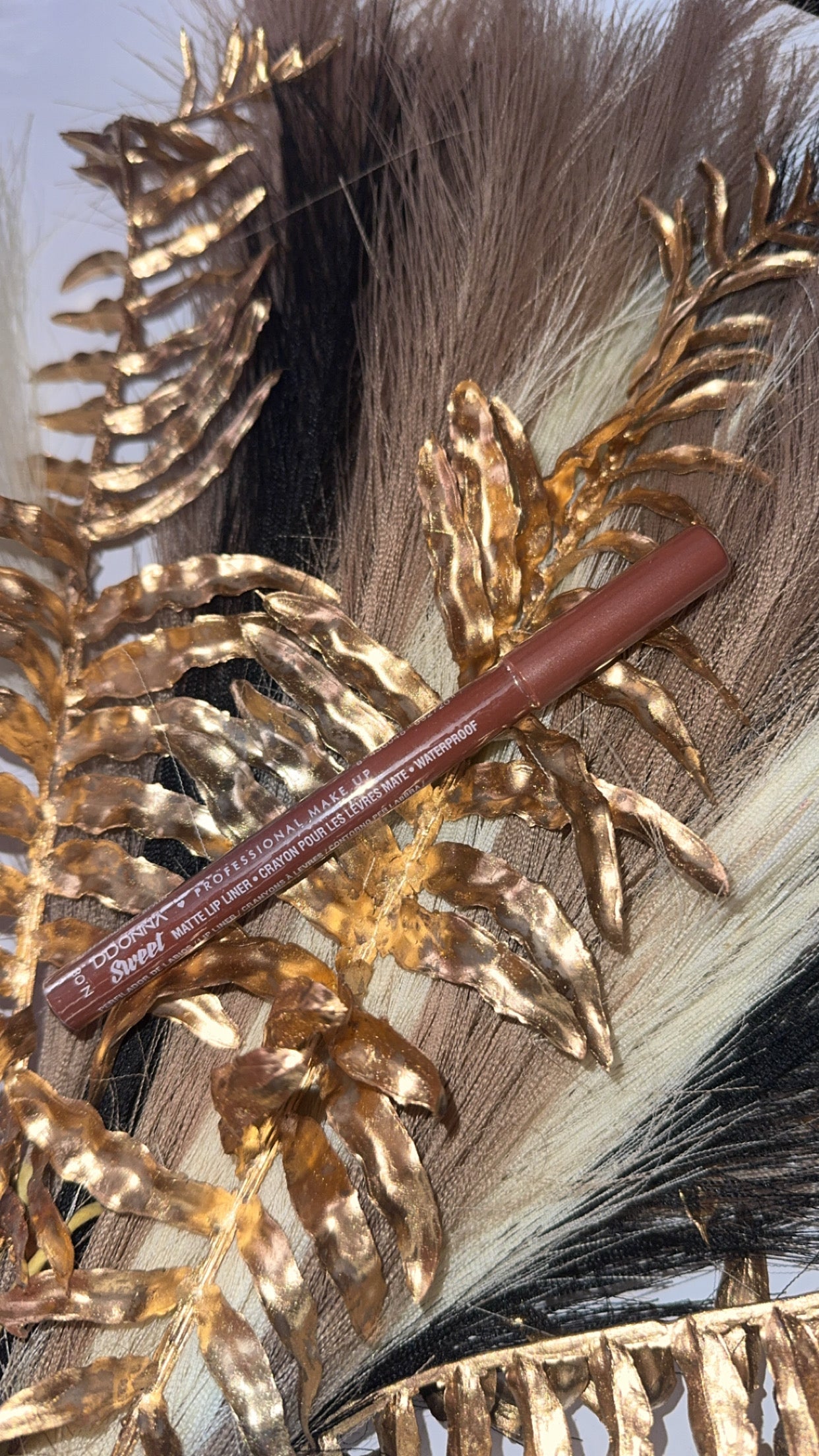 Crayon lèvres