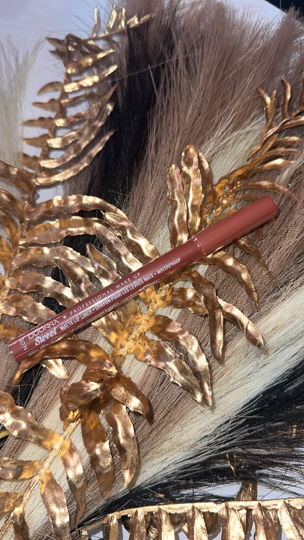 Crayon lèvres