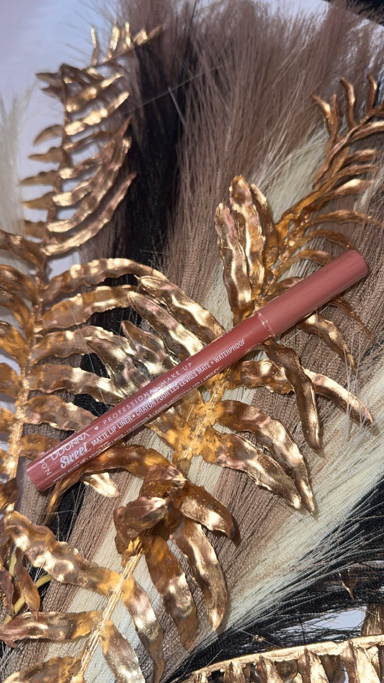 Crayon lèvres